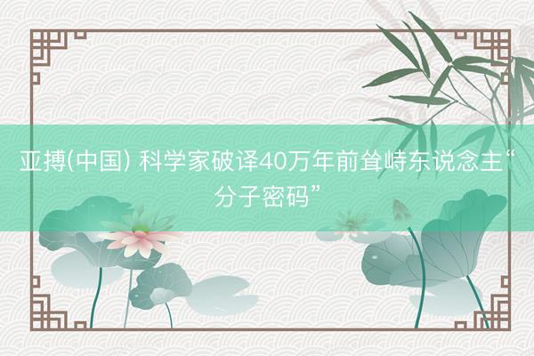 亚搏(中国) 科学家破译40万年前耸峙东说念主“分子密码”