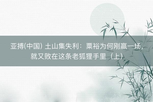 亚搏(中国) 土山集失利：粟裕为何刚赢一场，就又败在这条老狐狸手里（上）