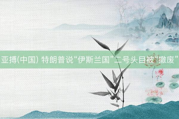 亚搏(中国) 特朗普说“伊斯兰国”二号头目被“撤废”