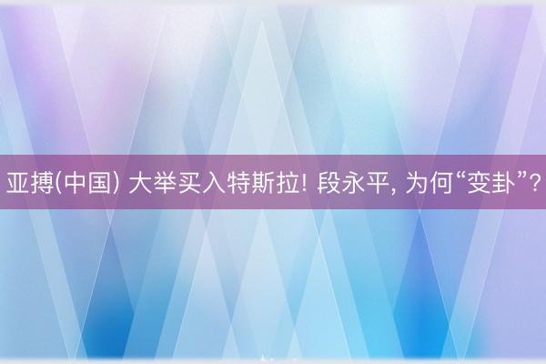 亚搏(中国) 大举买入特斯拉! 段永平, 为何“变卦”?