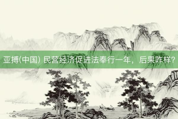 亚搏(中国) 民营经济促进法奉行一年,后果咋样?