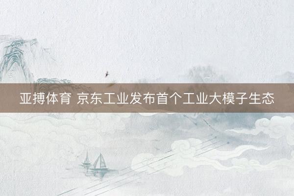 亚搏体育 京东工业发布首个工业大模子生态