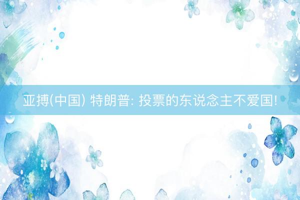 亚搏(中国) 特朗普: 投票的东说念主不爱国!