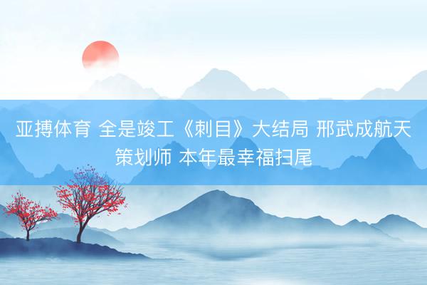 亚搏体育 全是竣工《刺目》大结局 邢武成航天策划师 本年最幸福扫尾