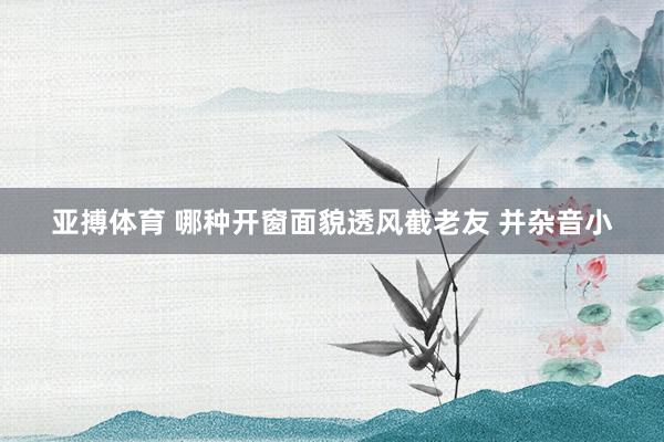 亚搏体育 哪种开窗面貌透风截老友 并杂音小