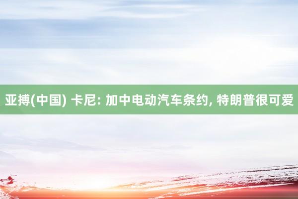 亚搏(中国) 卡尼: 加中电动汽车条约， 特朗普很可爱