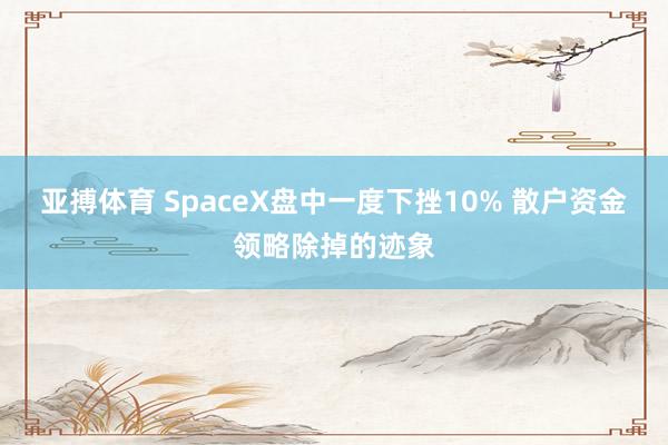 亚搏体育 SpaceX盘中一度下挫10% 散户资金领略除掉的迹象