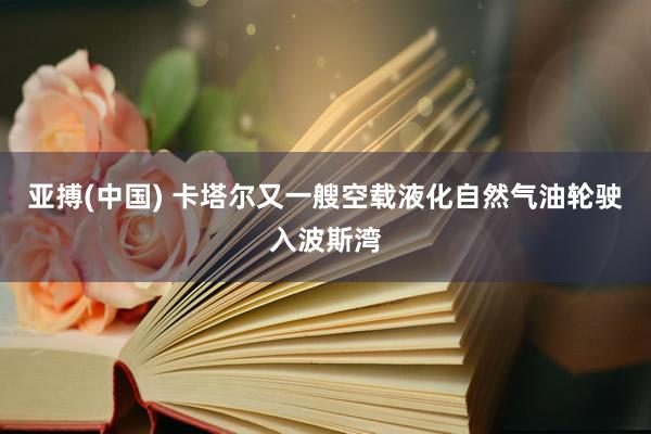 亚搏(中国) 卡塔尔又一艘空载液化自然气油轮驶入波斯湾